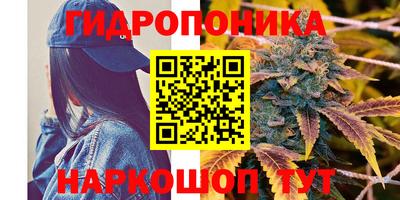 ешки Шебекино